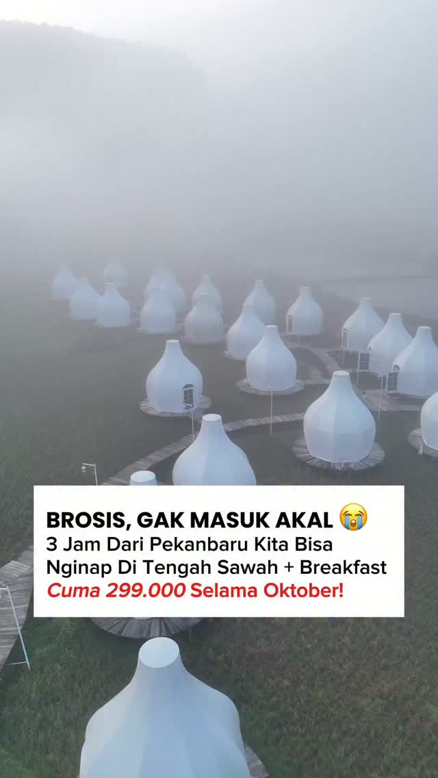 Affordable Glamping in the Rice Fields Near Pekanbaru