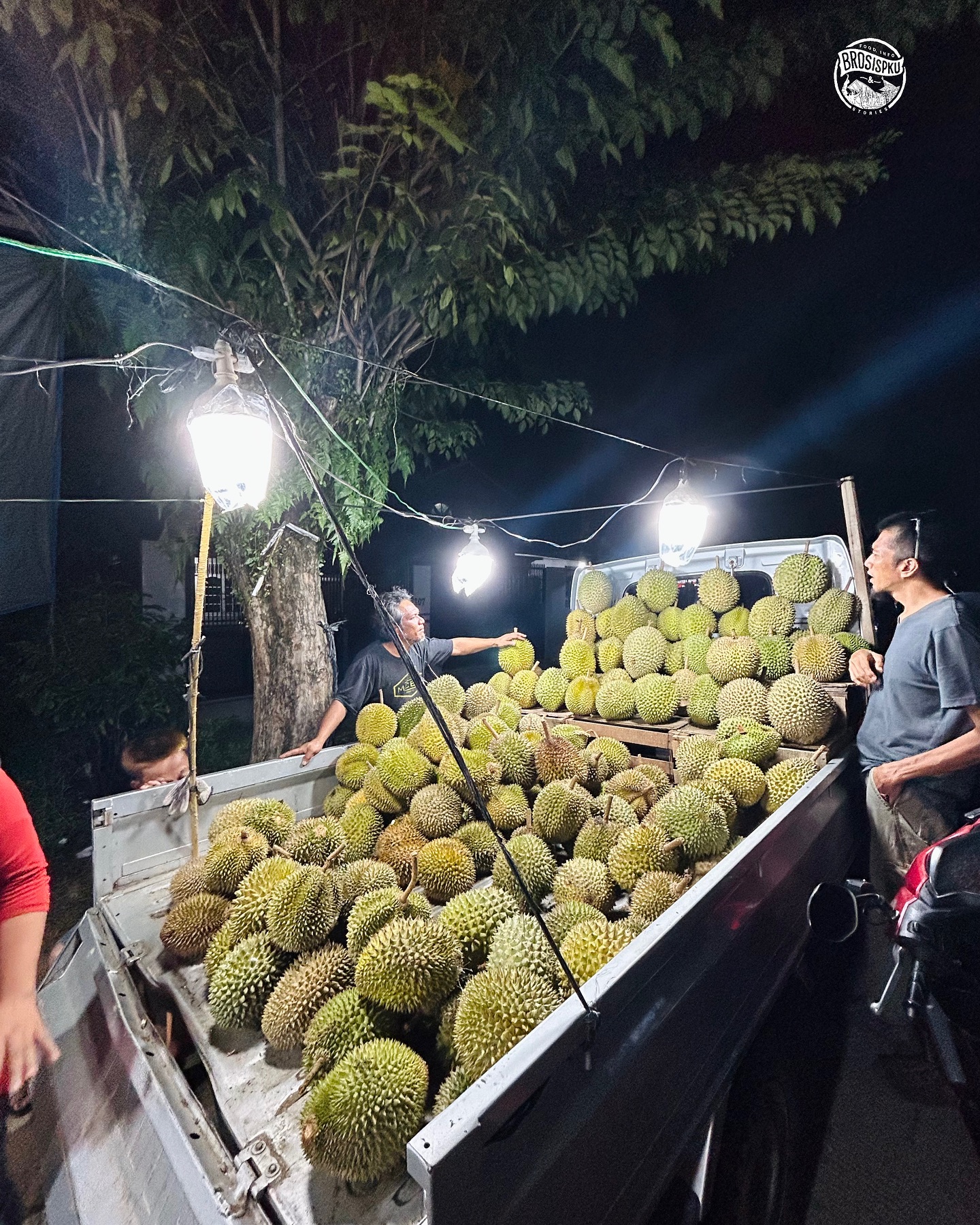 Musim Durian di Pekanbaru: Surga Buah Tropis