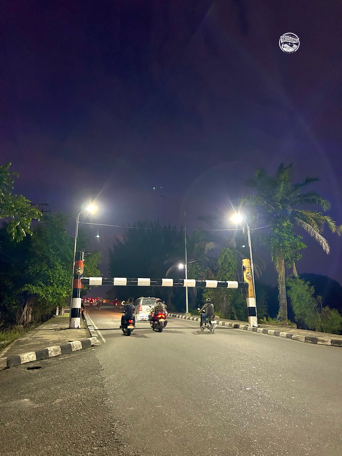 奔加布鲁桥牌照明更新