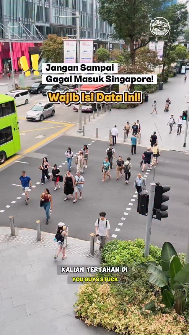 Cek SG Arrival Card Sebelum Terbang dari Pekanbaru