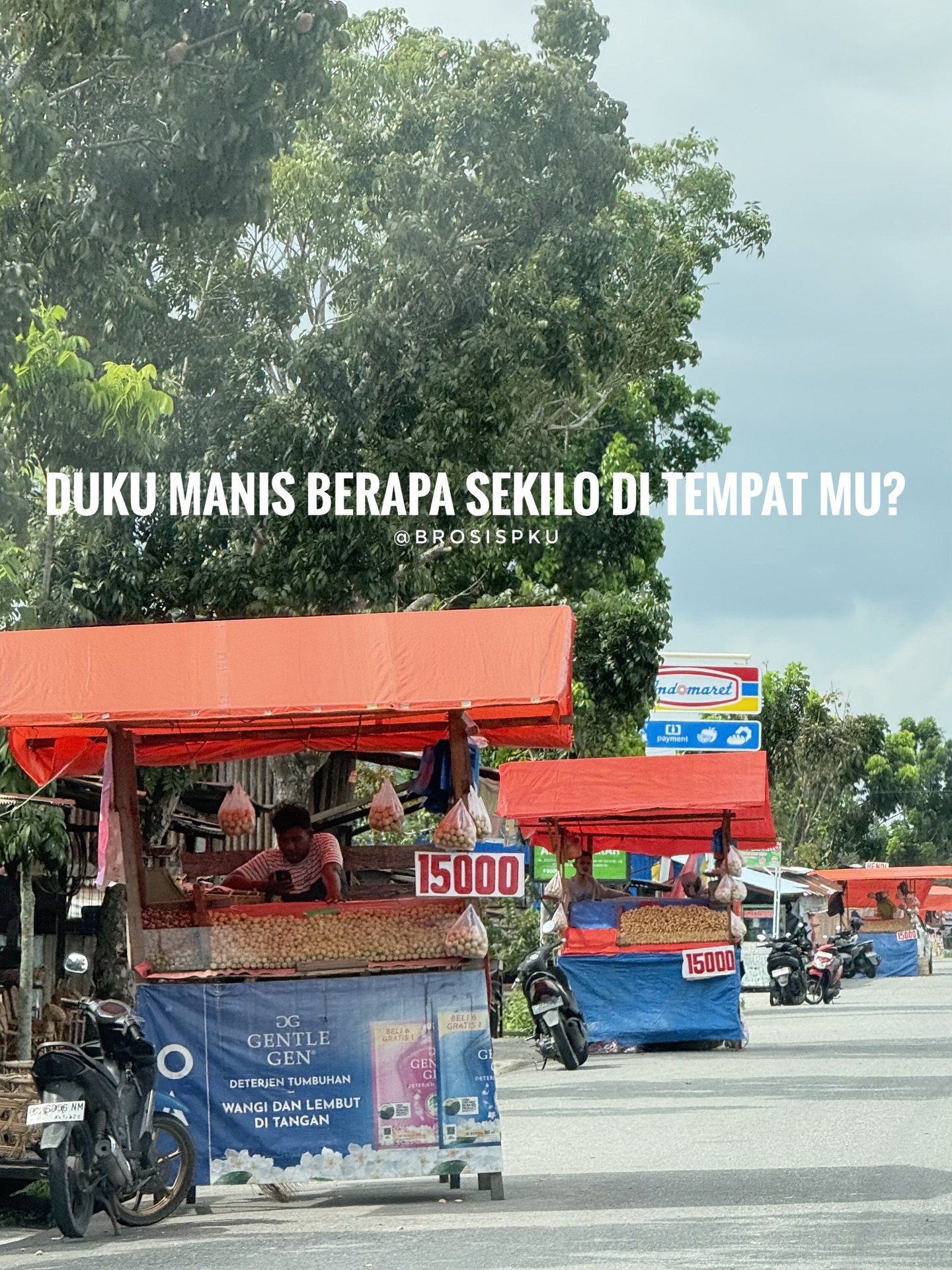 Harga Duku Manis di Pekanbaru