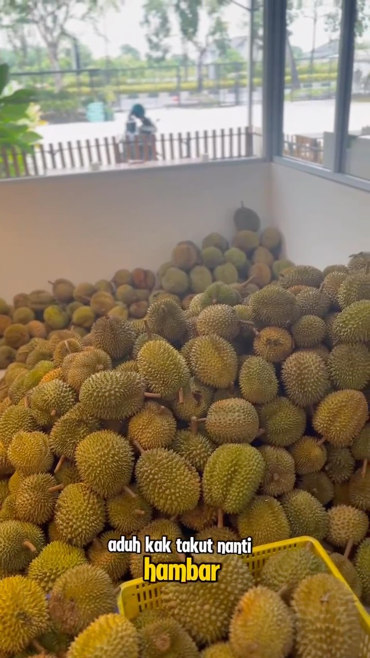 Nikmati Durian Premium di Pekanbaru