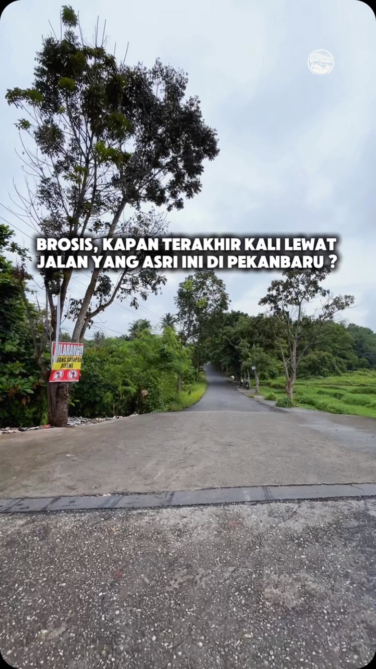 Jalan Hangtuah IV: Oasis Asri di Pekanbaru