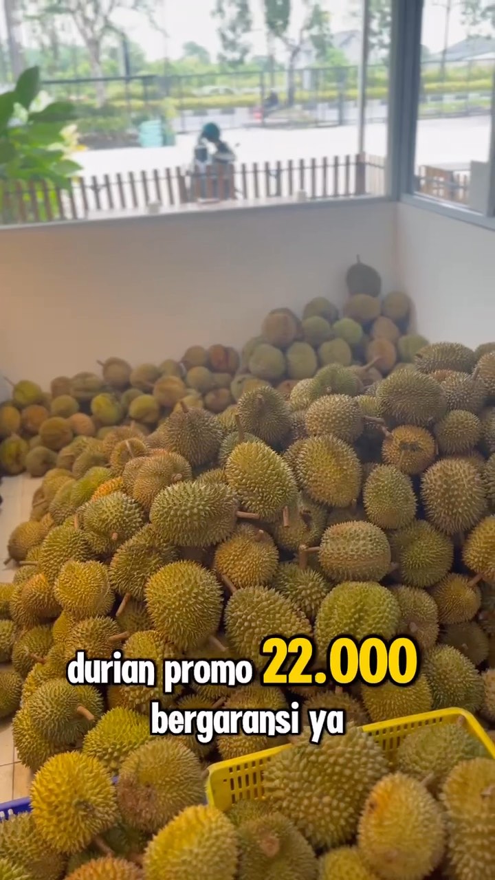 Promo Durian Pekanbaru: Rp22K Durian Lezat