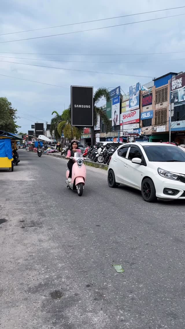 廖内伯鲁时尚电动自行车