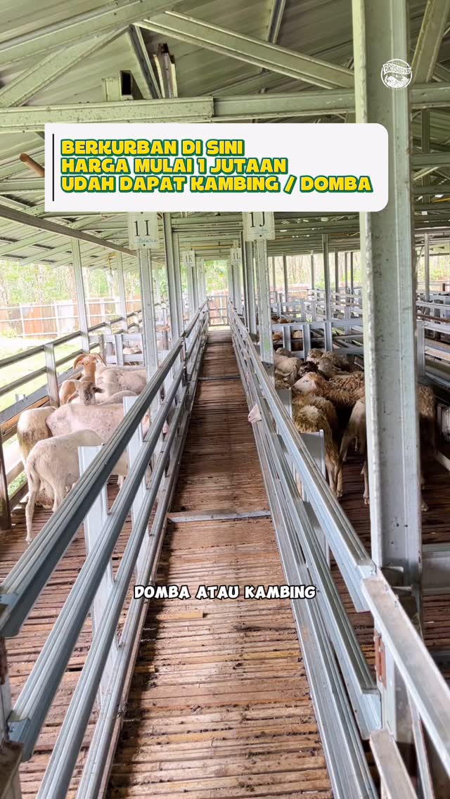 Cara Berkurban di Pekanbaru dengan Dompet Dhuafa